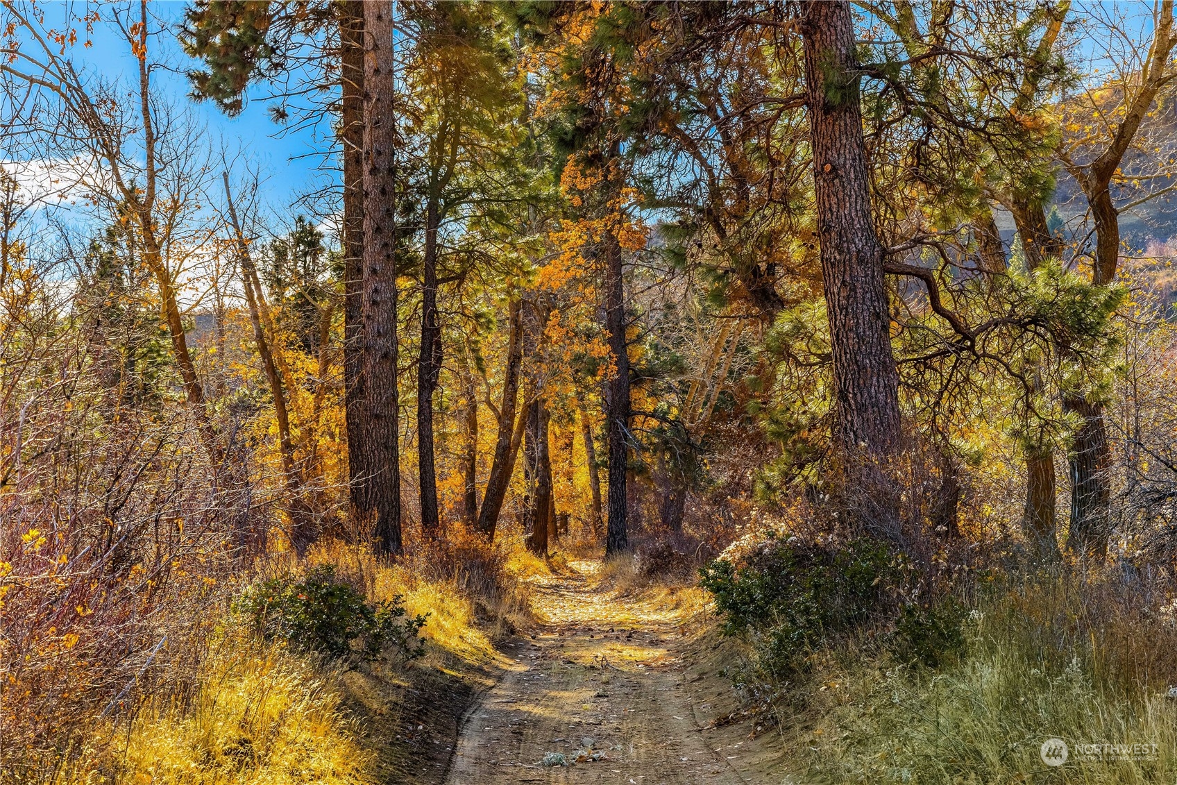 1250 Dudley Road, Unit E Thorp, WA 98946 - Photo 3 of 19