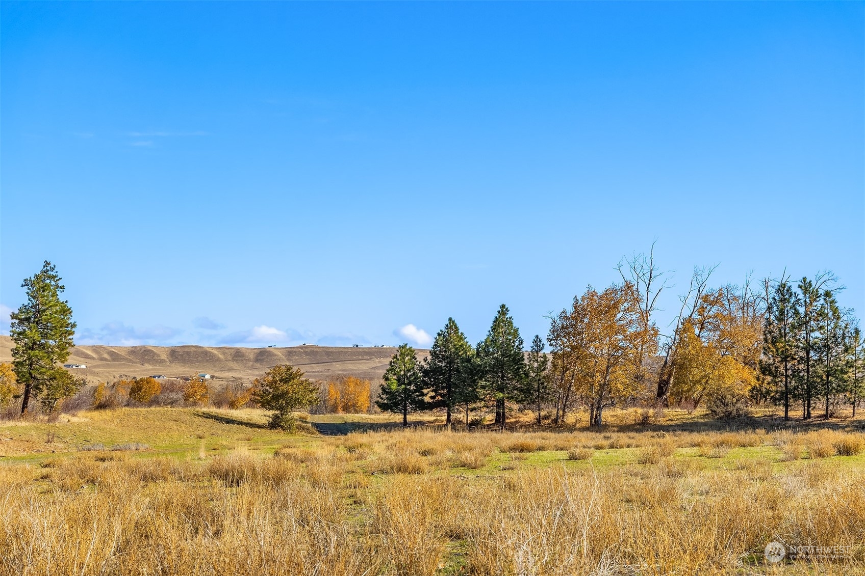 1250 Dudley Road, Unit E Thorp, WA 98946 - Photo 4 of 19 a view of lake view and mountain