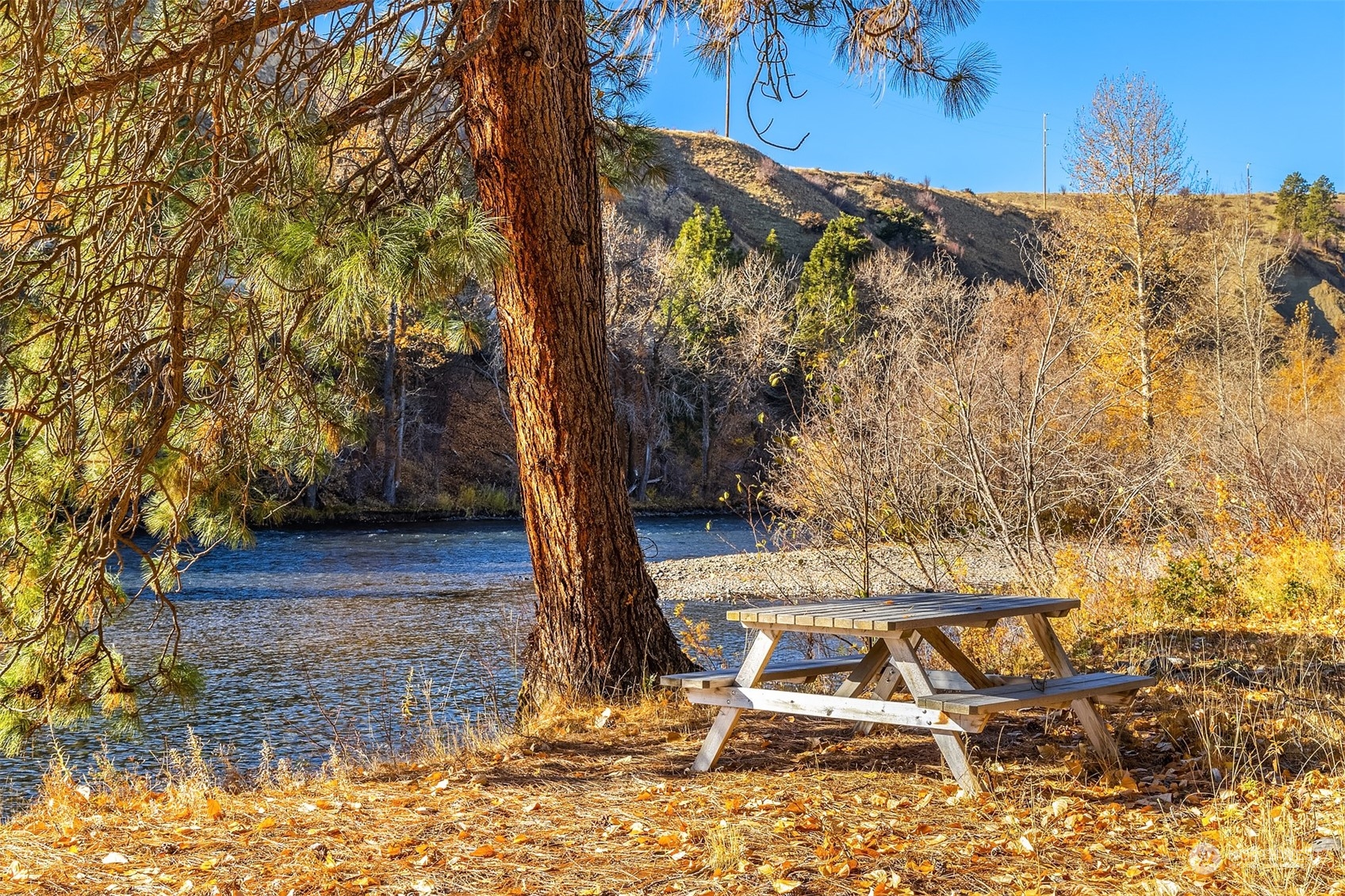 1250 Dudley Road, Unit E Thorp, WA 98946 - Photo 5 of 19 a view of a yard with plants and trees