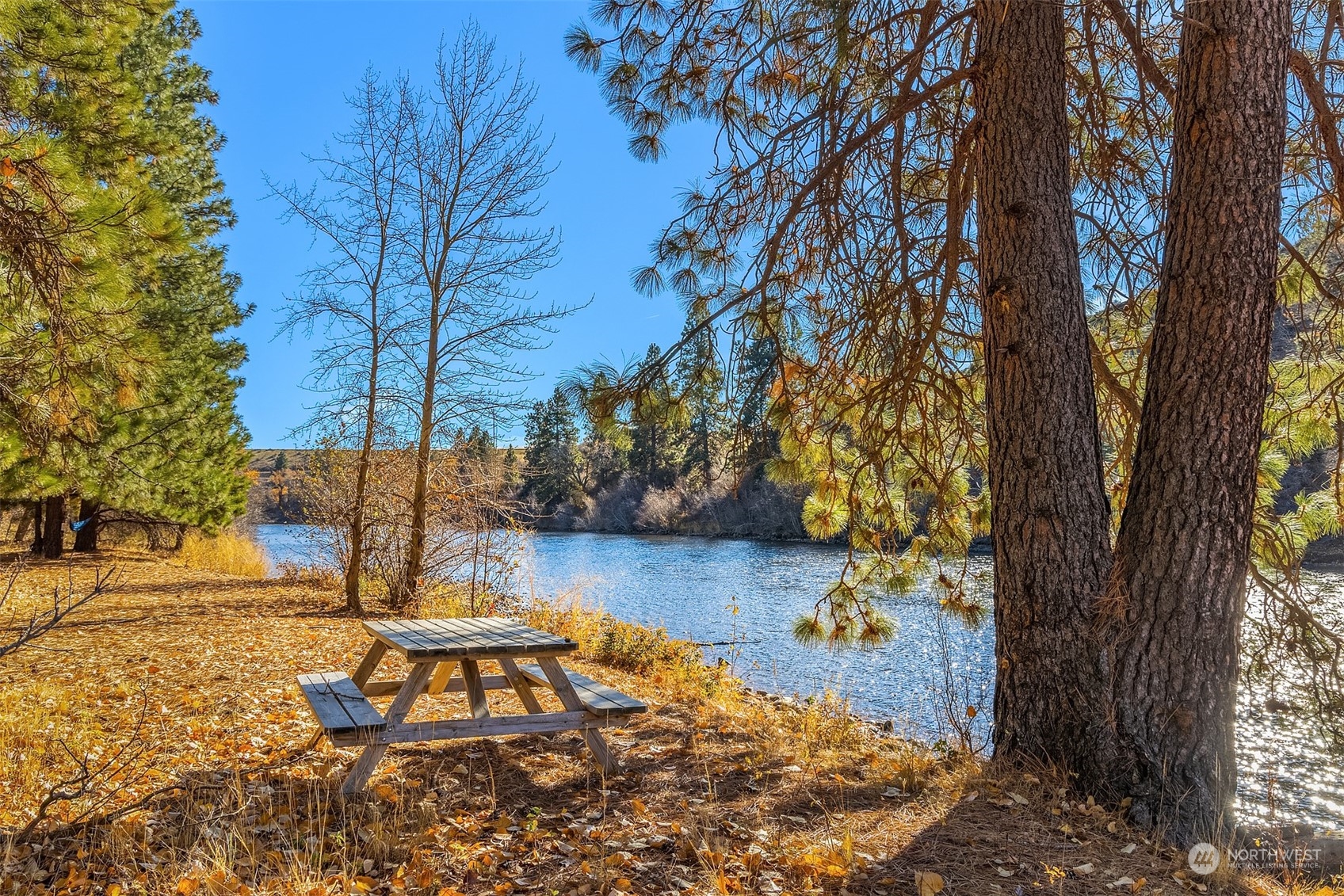 1250 Dudley Road, Unit E Thorp, WA 98946 - Photo 6 of 19 a view of a yard with plants and trees