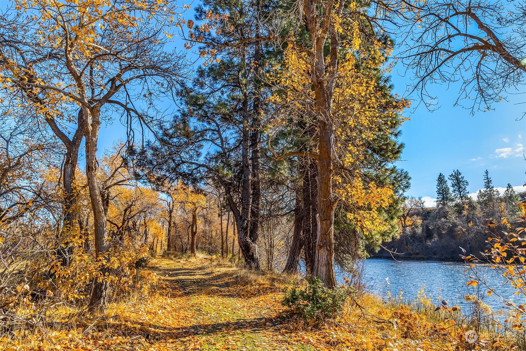 1250 Dudley Road, Unit E Thorp, WA 98946 - Photo 8 of 19 a view of outdoor space with trees