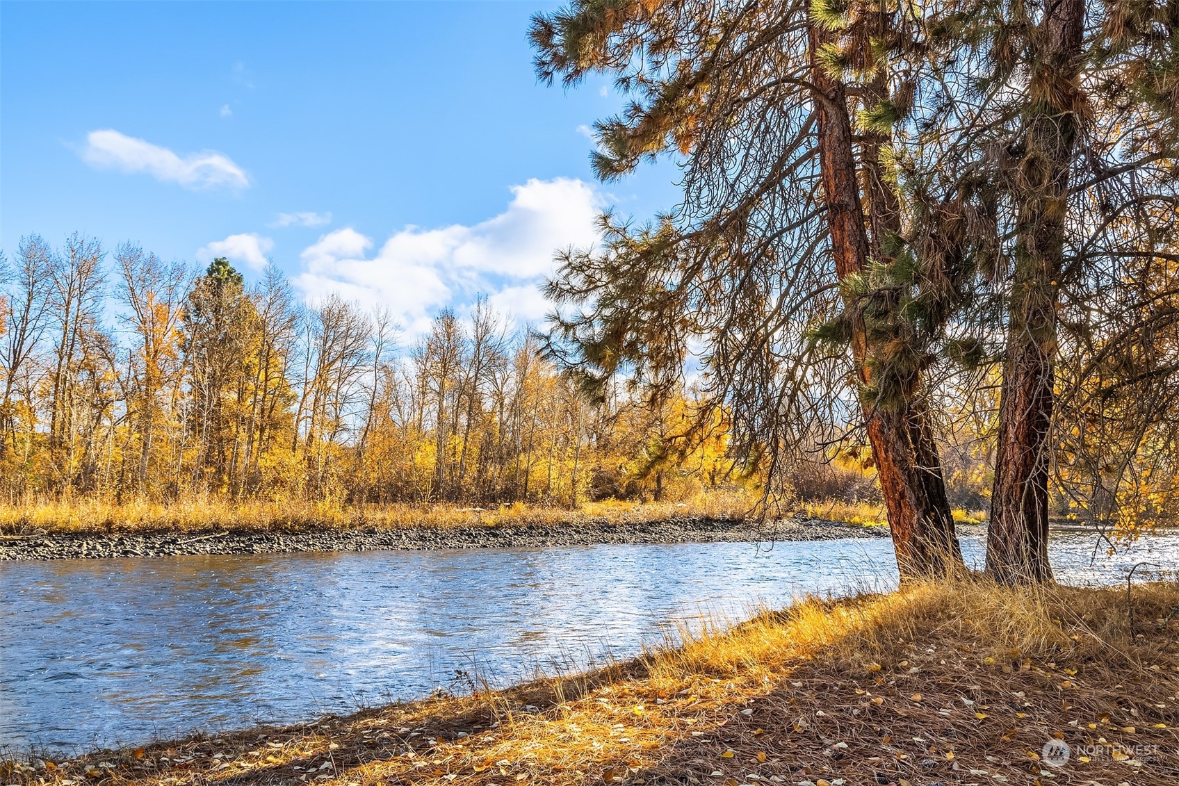 1250 Dudley Road, Unit E Thorp, WA 98946 - Photo 9 of 19 a view of outdoor space with yard