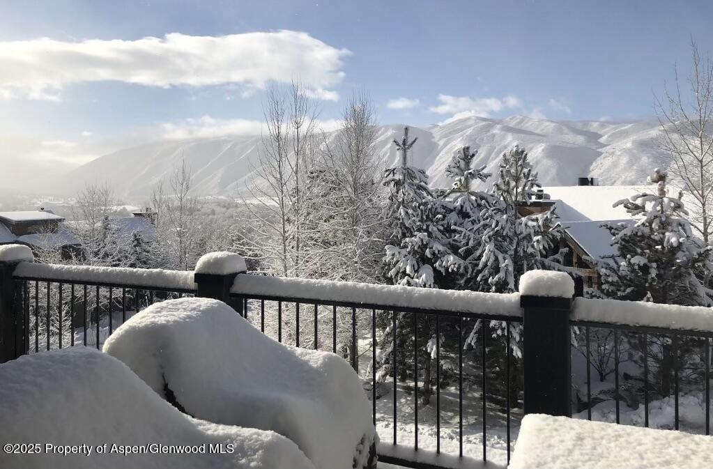 753 Promontory Lane Basalt, CO 81621 - Photo 43 of 44 IMG_1779