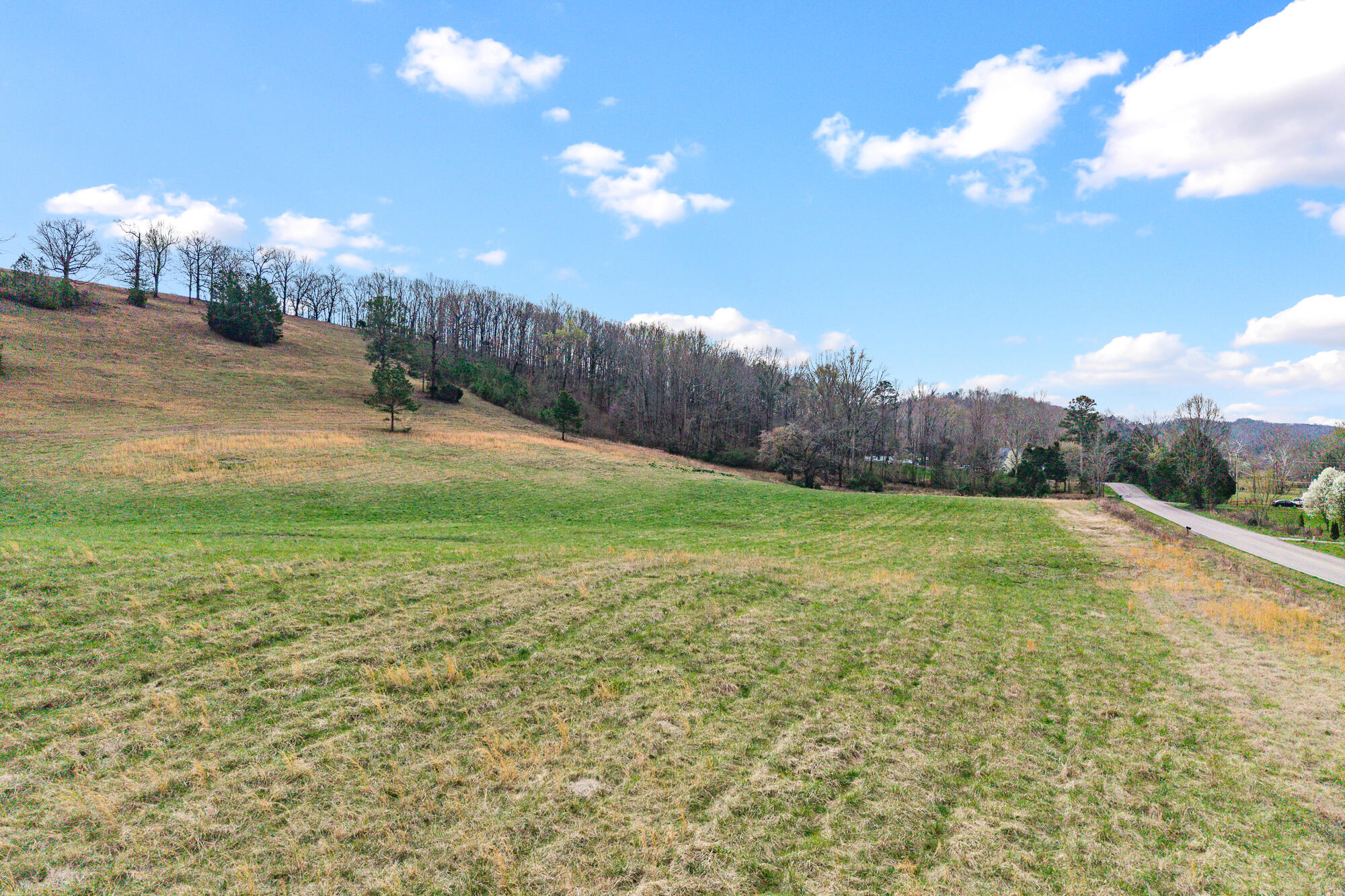 Lot 6 North Nopone Valley Road, Unit 1 Decatur, TN 37322 - Photo 12 of 17 Land on Nopone-10