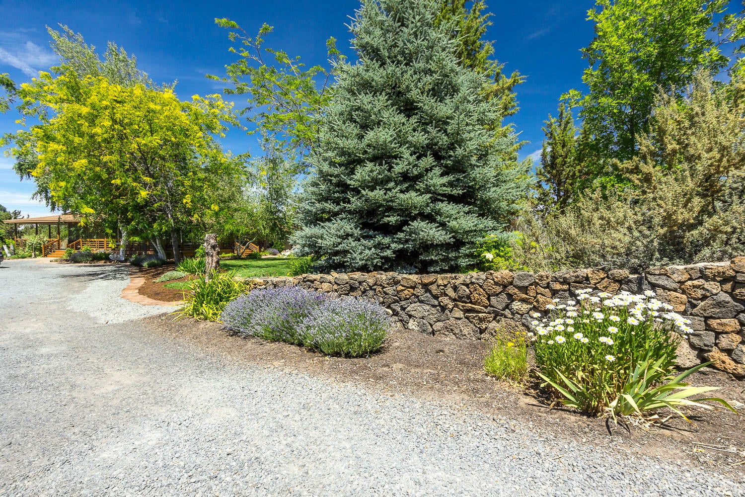 63221 Old Deschutes Road Bend, OR 97701 - Photo 45 of 46 63221-Old-Descutes-Rd-7-17-2020-37