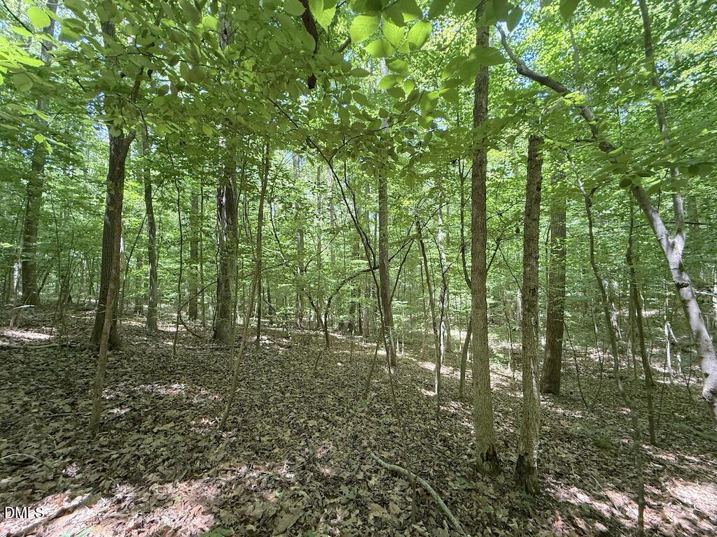 0 Buttonwood Lane Roxboro, NC 27574 - Photo 17 of 36