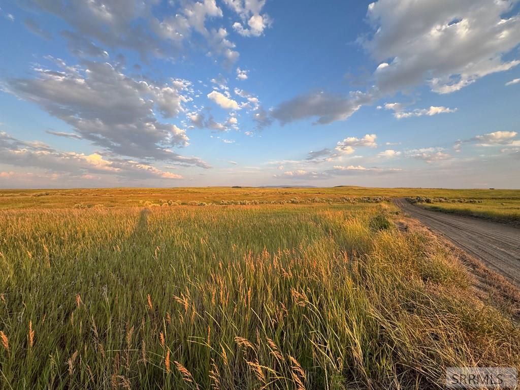 650 North 3725 Street Chester, ID 83421 - Photo 8 of 11