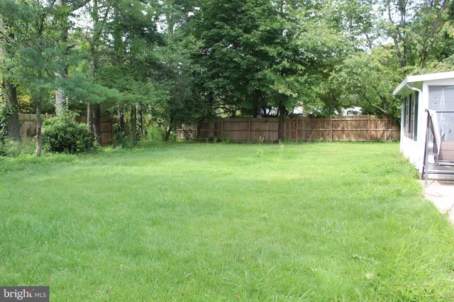 a view of a yard with a trees