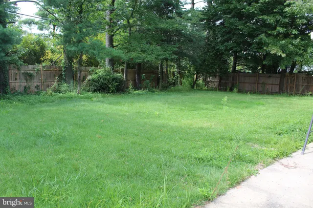 a view of a backyard with a trees