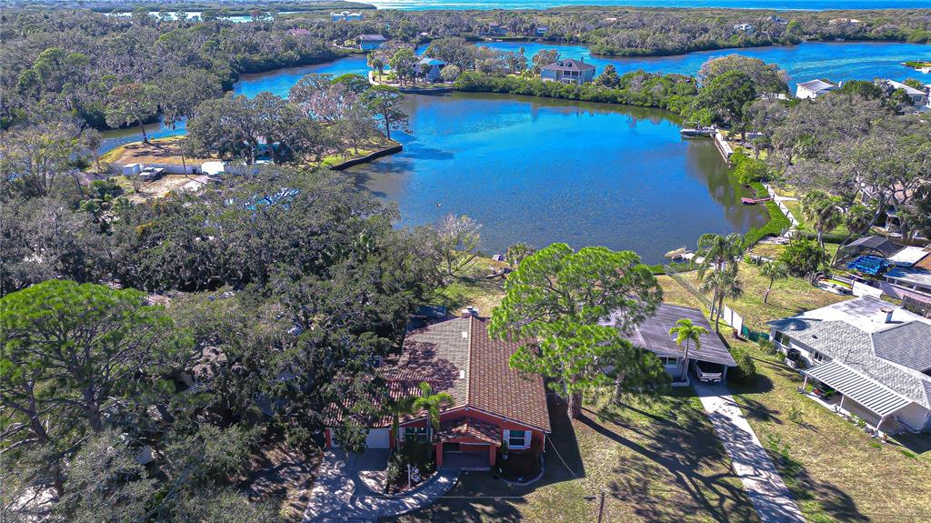 7051 Morningstar Lane New Port Richey, FL 34652 - Photo 3 of 37