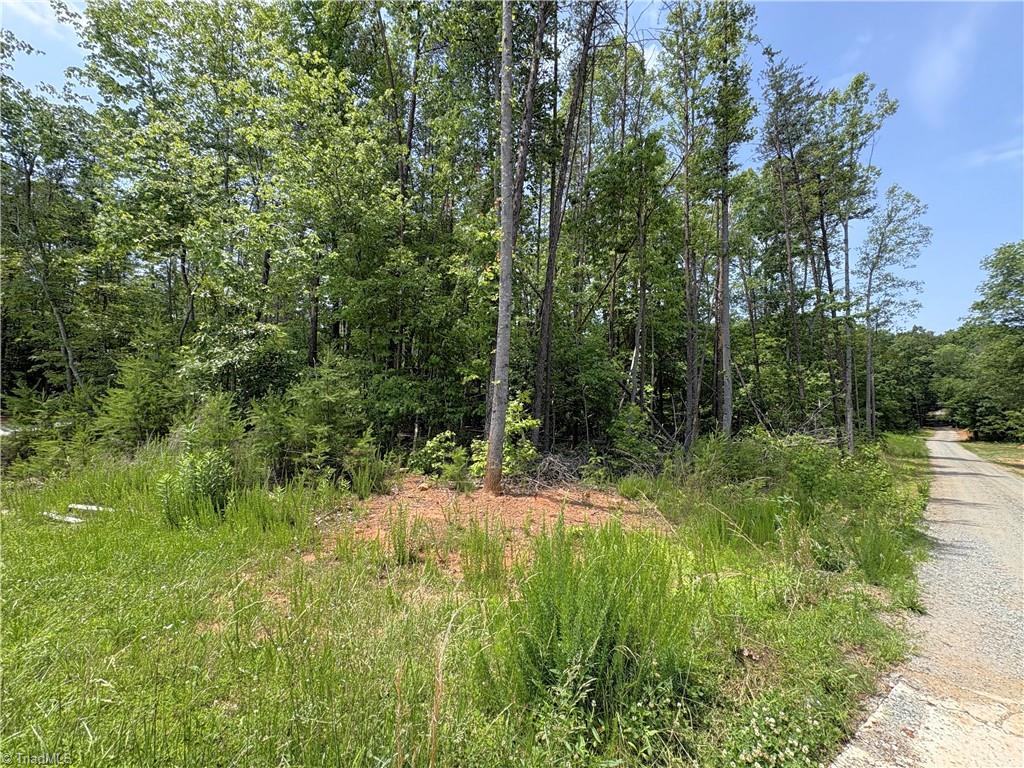 357 Pearman Road Summerfield, NC 27358 - Photo 11 of 31