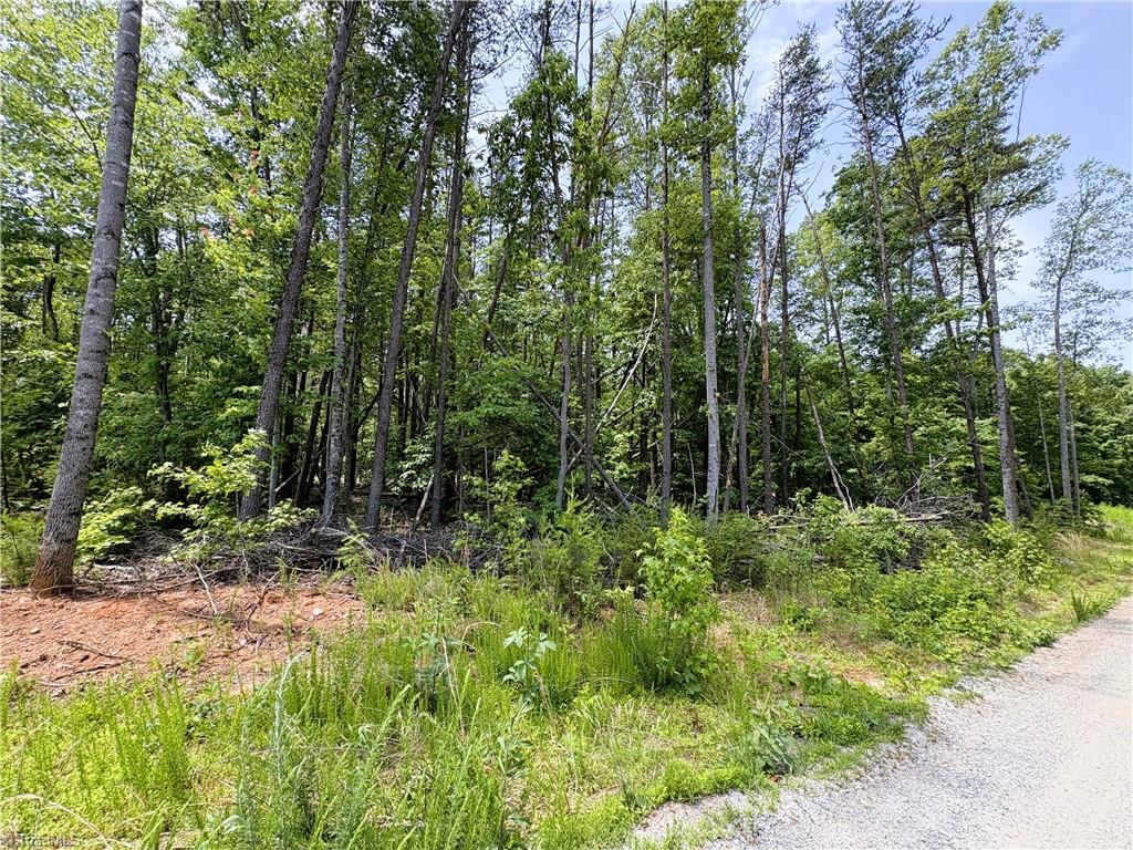 357 Pearman Road Summerfield, NC 27358 - Photo 12 of 31