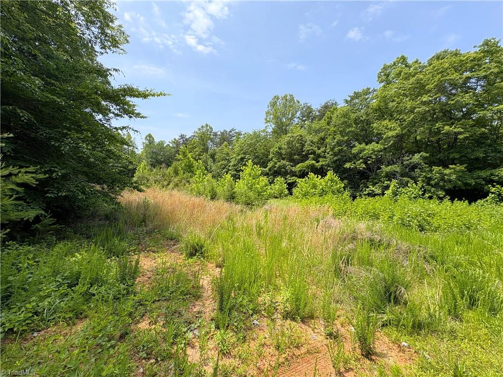 357 Pearman Road Summerfield, NC 27358 - Photo 14 of 31