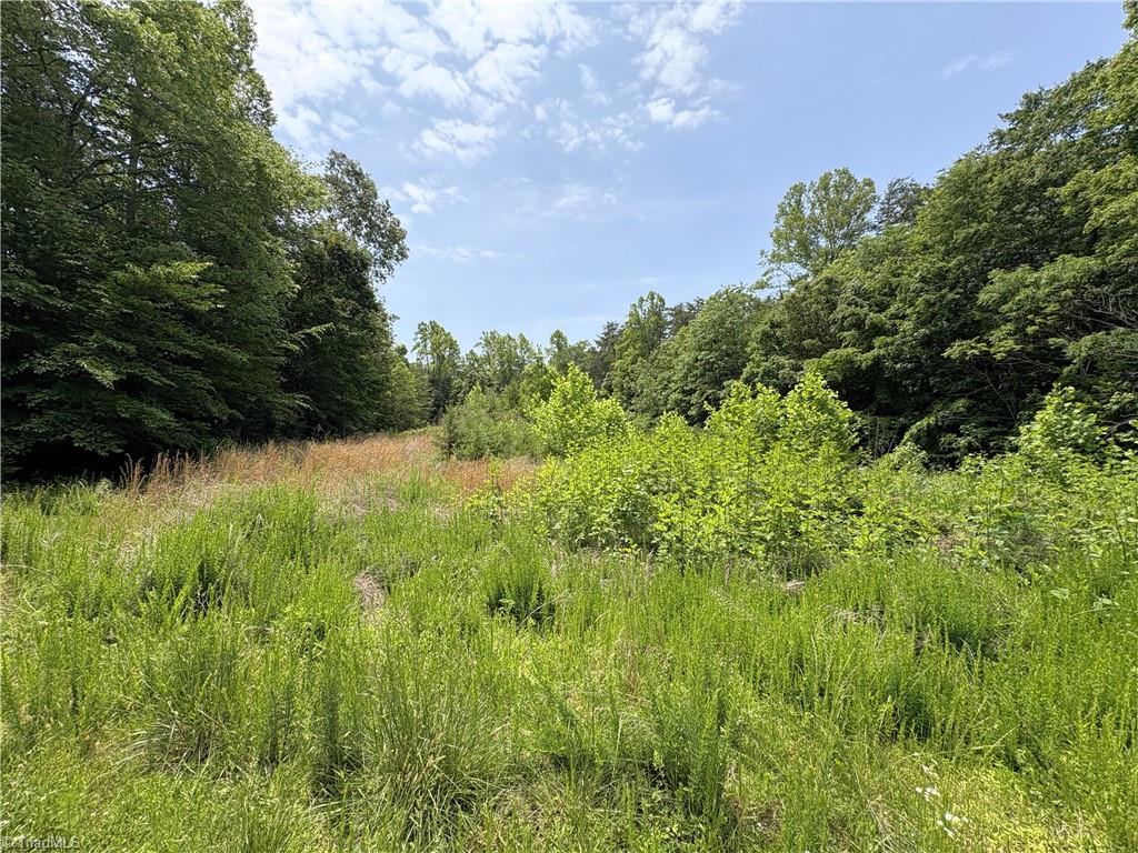 357 Pearman Road Summerfield, NC 27358 - Photo 15 of 31