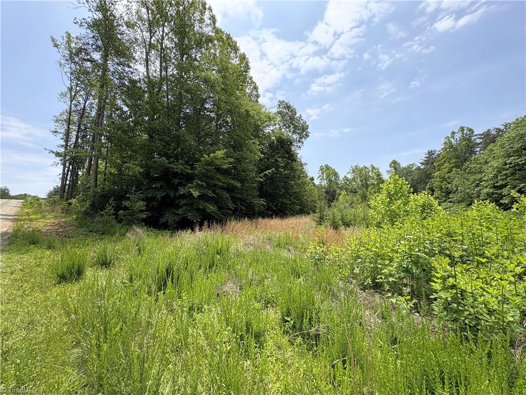 357 Pearman Road Summerfield, NC 27358 - Photo 16 of 31