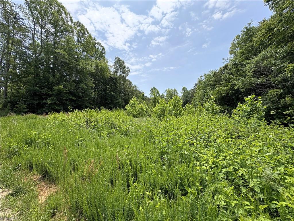 357 Pearman Road Summerfield, NC 27358 - Photo 17 of 31