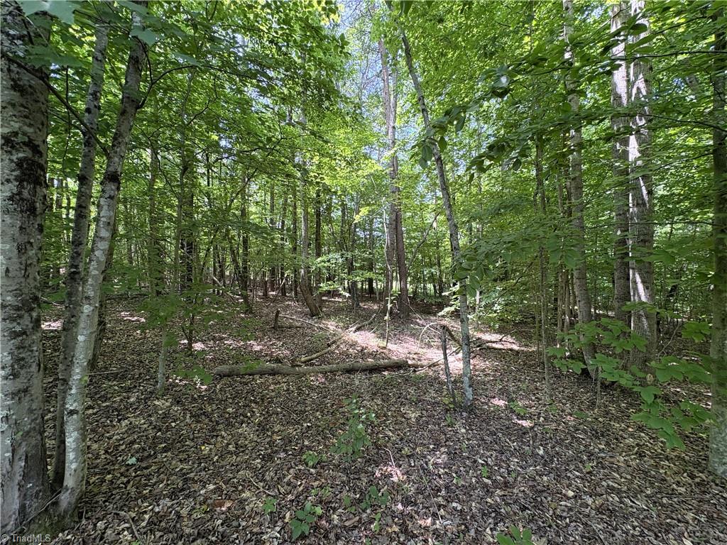 357 Pearman Road Summerfield, NC 27358 - Photo 18 of 31