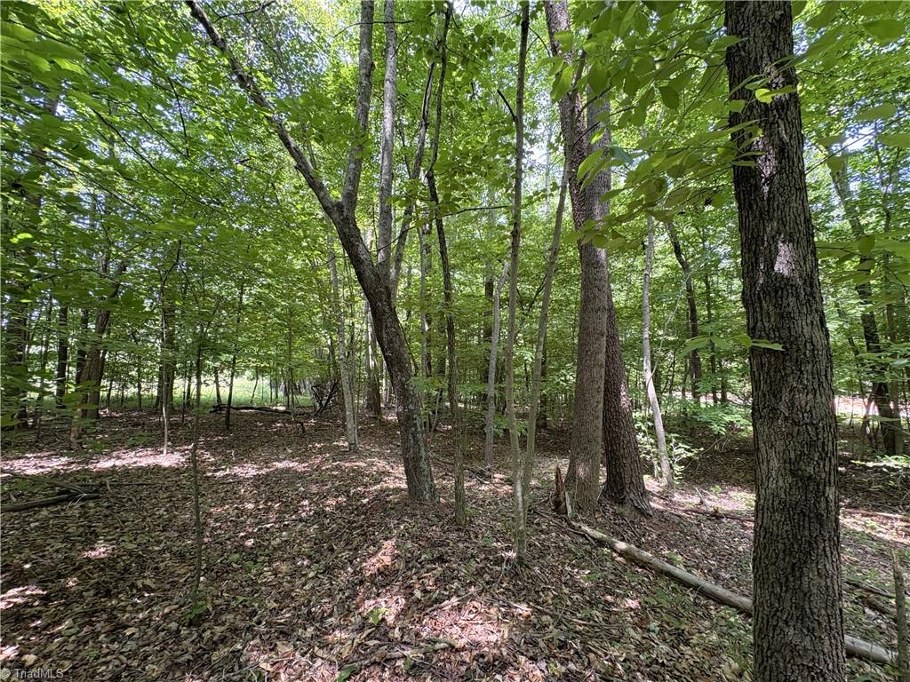 357 Pearman Road Summerfield, NC 27358 - Photo 19 of 31