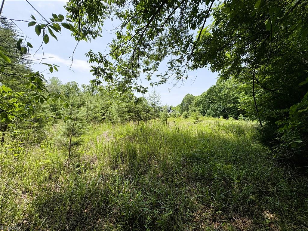 357 Pearman Road Summerfield, NC 27358 - Photo 20 of 31