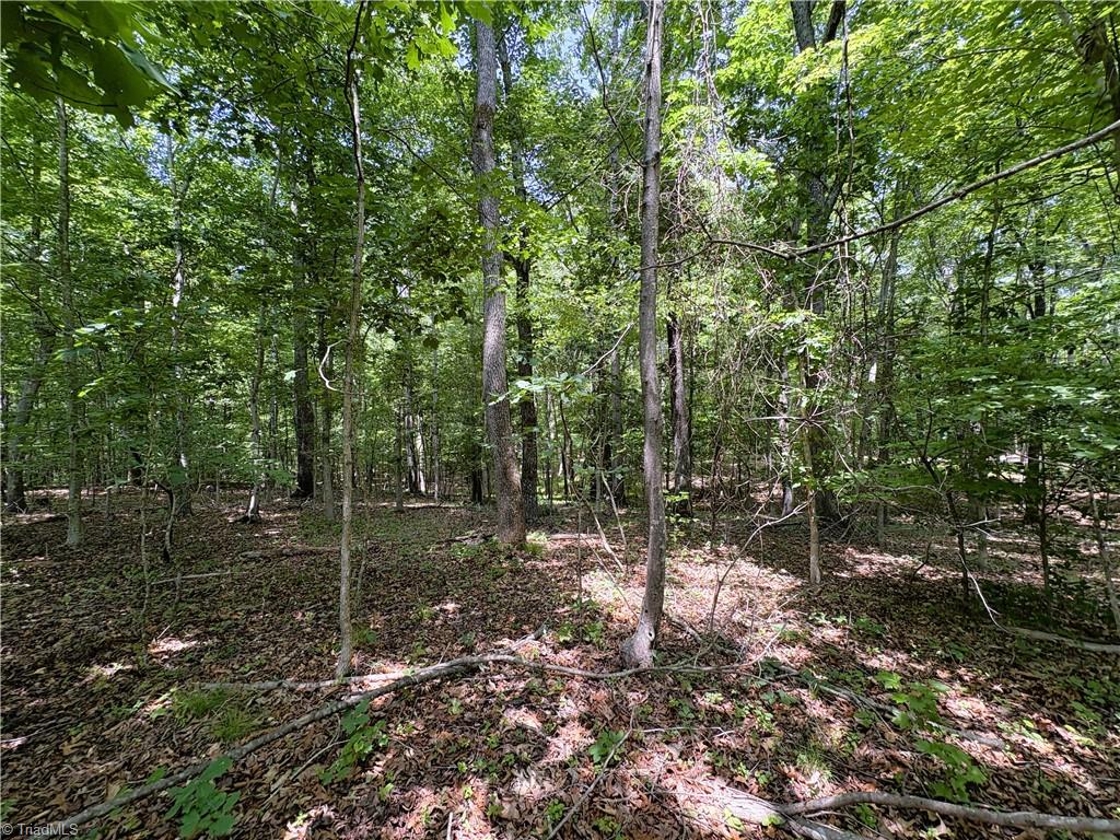 357 Pearman Road Summerfield, NC 27358 - Photo 22 of 31