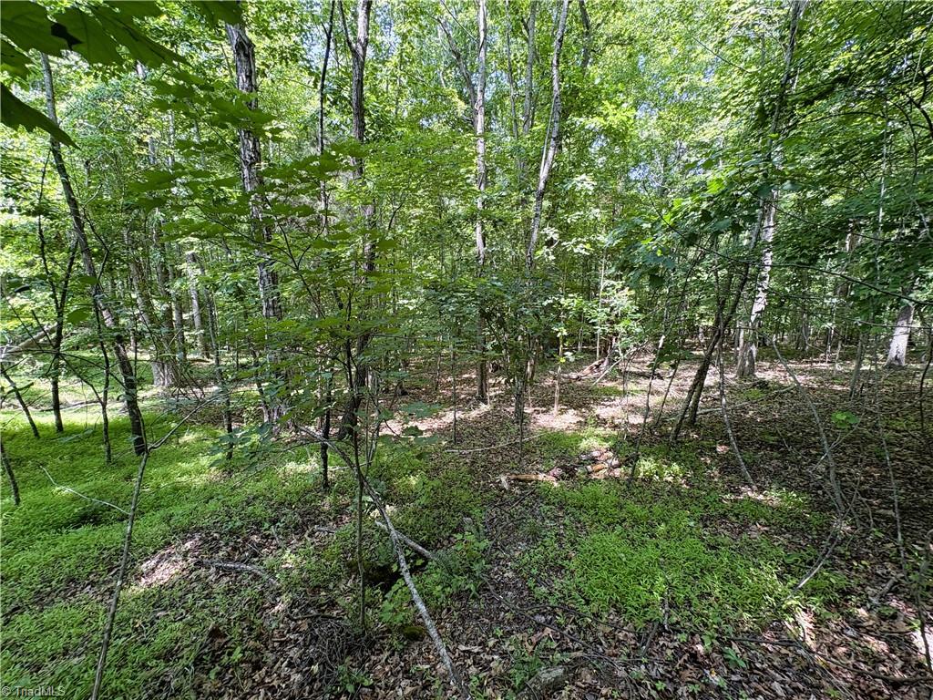 357 Pearman Road Summerfield, NC 27358 - Photo 23 of 31