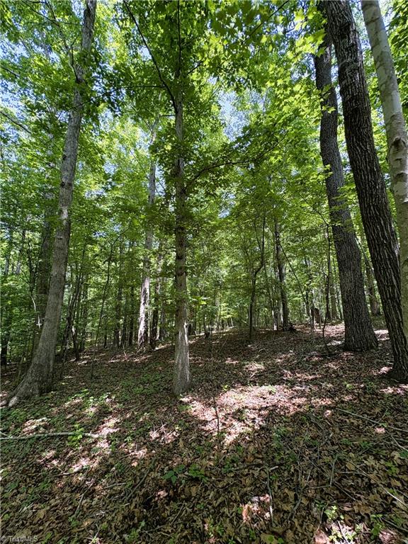 357 Pearman Road Summerfield, NC 27358 - Photo 24 of 31