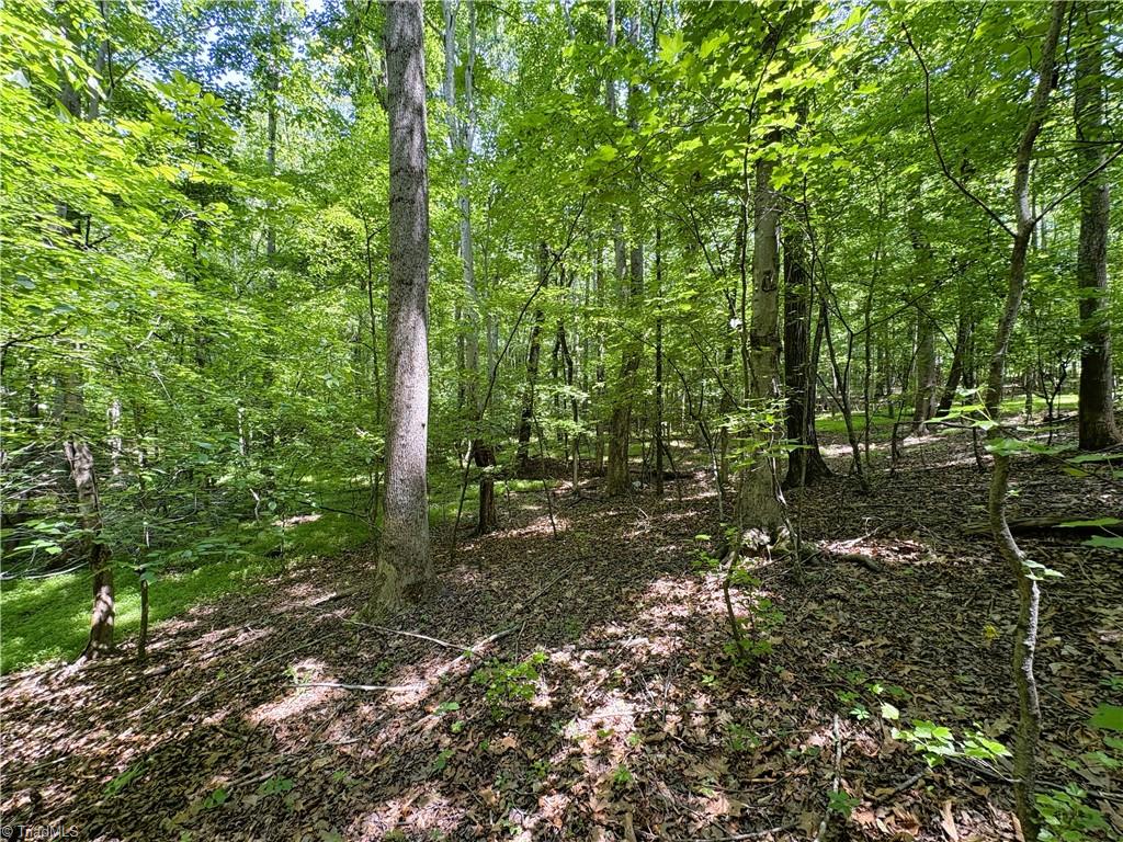 357 Pearman Road Summerfield, NC 27358 - Photo 26 of 31