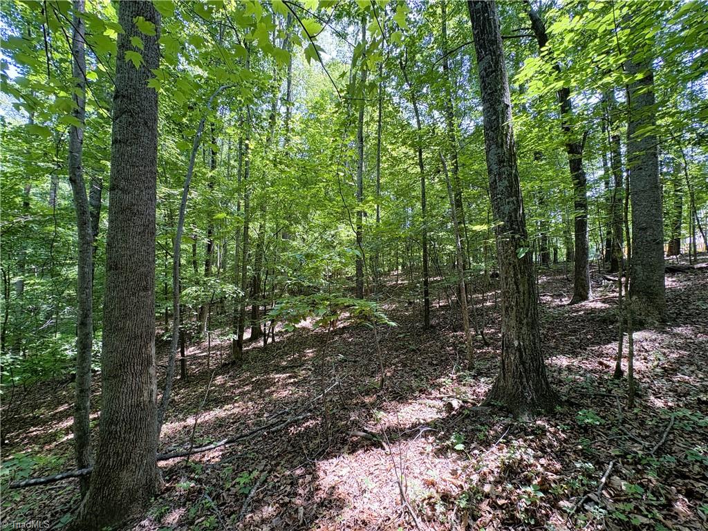 357 Pearman Road Summerfield, NC 27358 - Photo 27 of 31