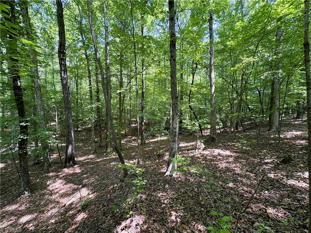 357 Pearman Road Summerfield, NC 27358 - Photo 28 of 31