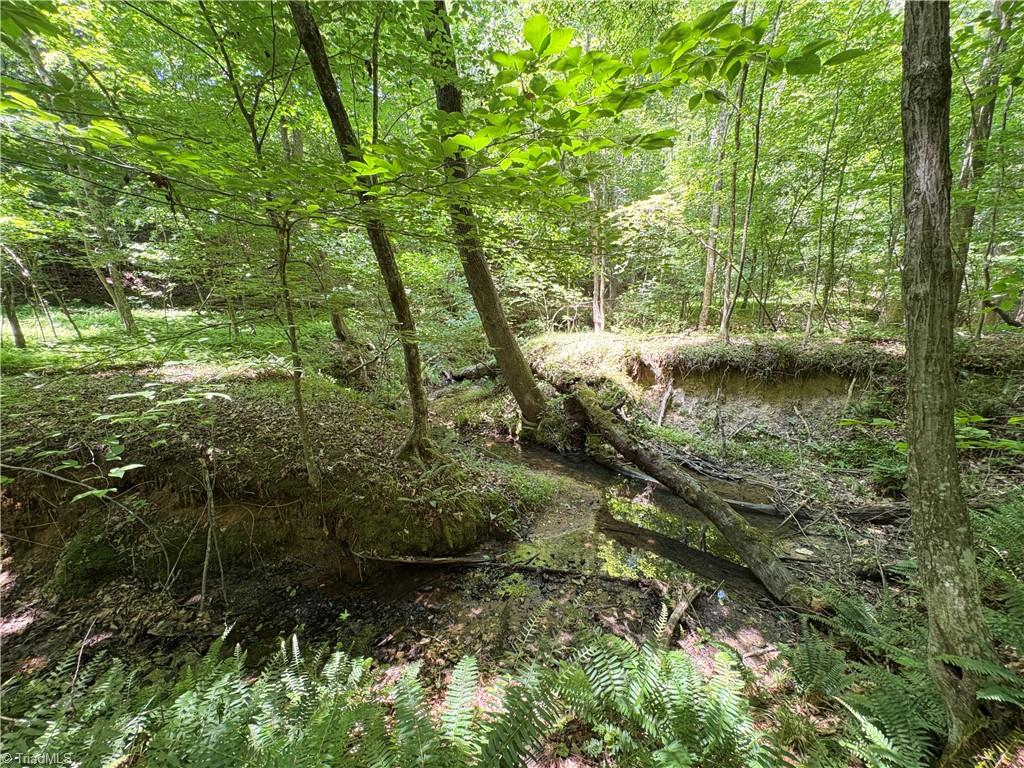 357 Pearman Road Summerfield, NC 27358 - Photo 29 of 31