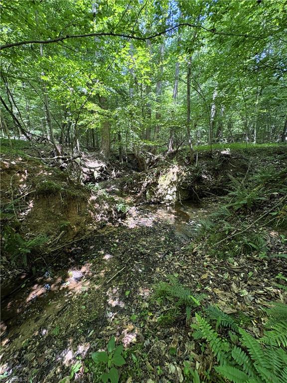 357 Pearman Road Summerfield, NC 27358 - Photo 30 of 31