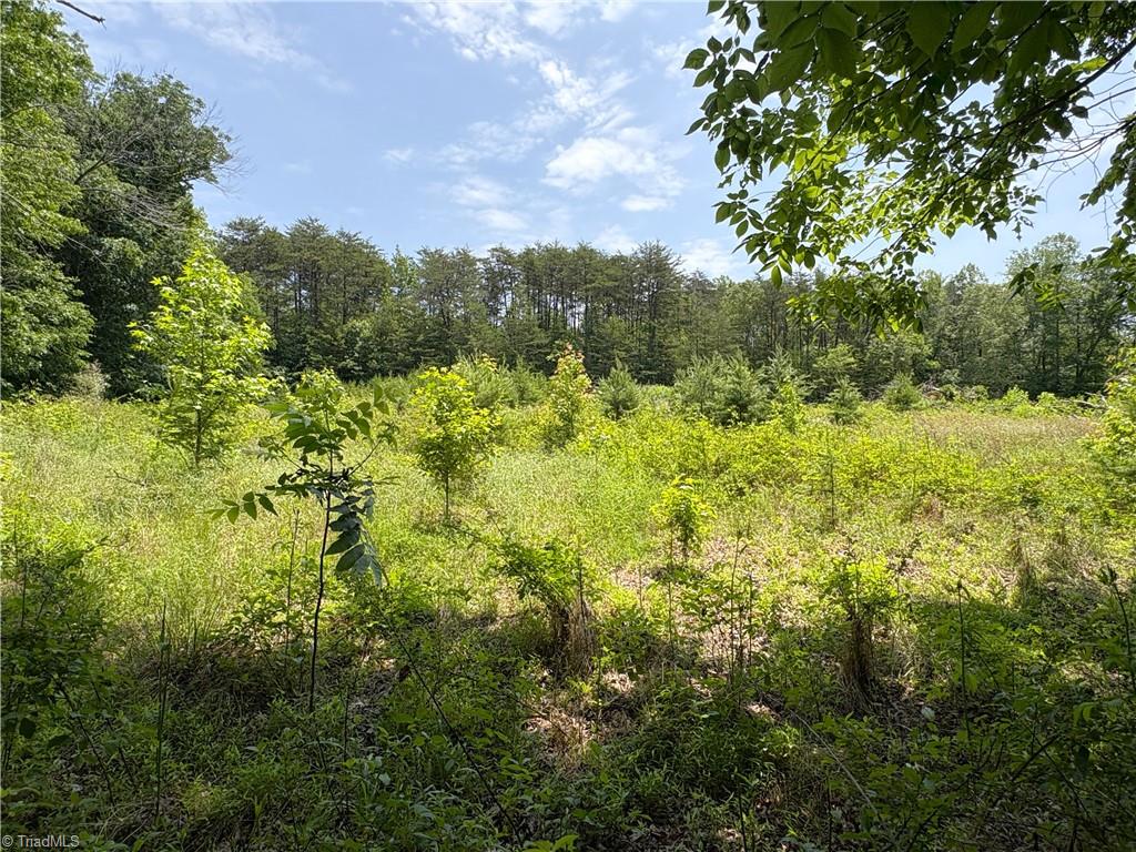 357 Pearman Road Summerfield, NC 27358 - Photo 3 of 31