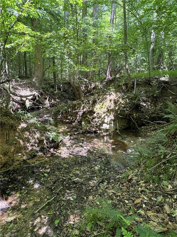 357 Pearman Road Summerfield, NC 27358 - Photo 31 of 31