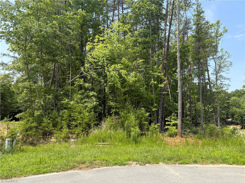 357 Pearman Road Summerfield, NC 27358 - Photo 10 of 31