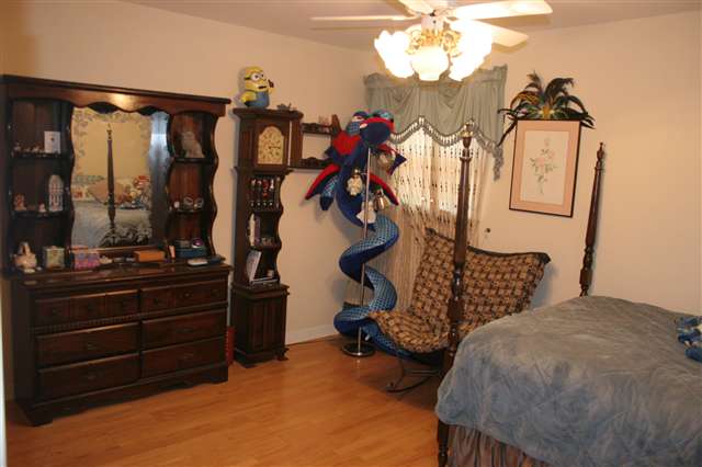 201 Old Mill Road Taylors, SC 29687 - Photo 15 of 24 Gallery Image 15