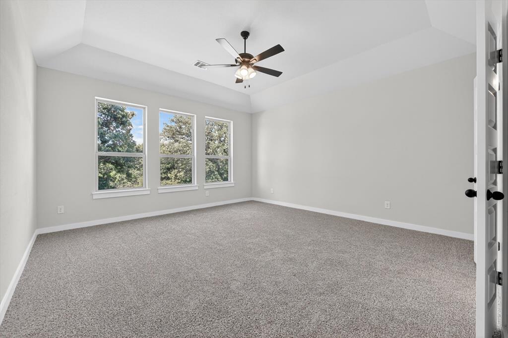 409 Mcalpine Springtown, TX 76082 - Photo 21 of 38 Spacious room featuring a tray ceiling, three large windows, textured carpet flooring, and a ceiling fan with light fixture