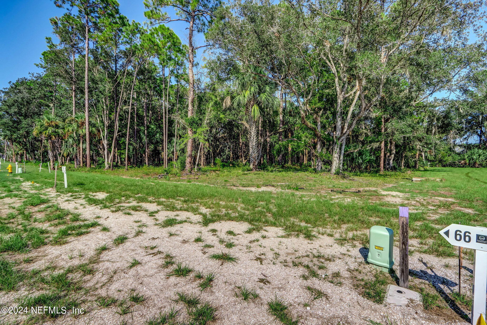 557 Shell Ridge Lane Ponte Vedra, FL 32081 - Photo 11 of 17 a view of a park with large trees