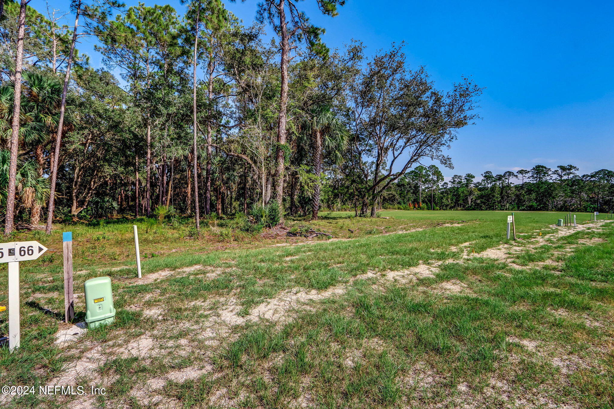 557 Shell Ridge Lane Ponte Vedra, FL 32081 - Photo 12 of 17 a view of a park with a tree