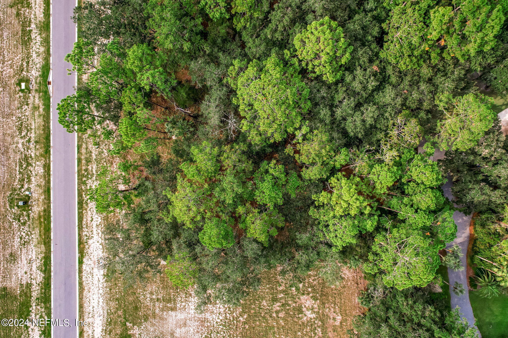 557 Shell Ridge Lane Ponte Vedra, FL 32081 - Photo 2 of 17 a view of a yard with plants