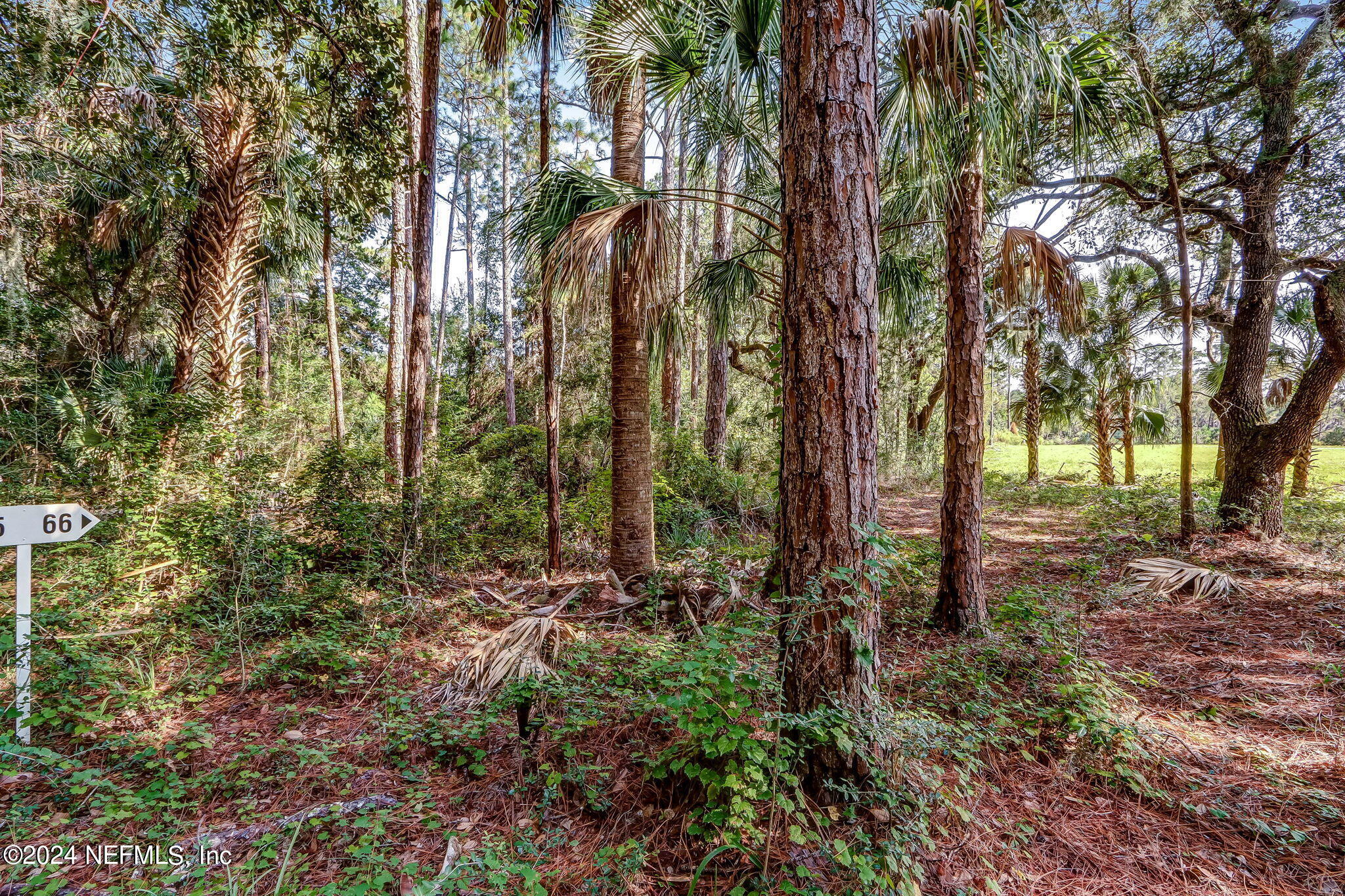 557 Shell Ridge Lane Ponte Vedra, FL 32081 - Photo 9 of 17 a view of outdoor space and trees