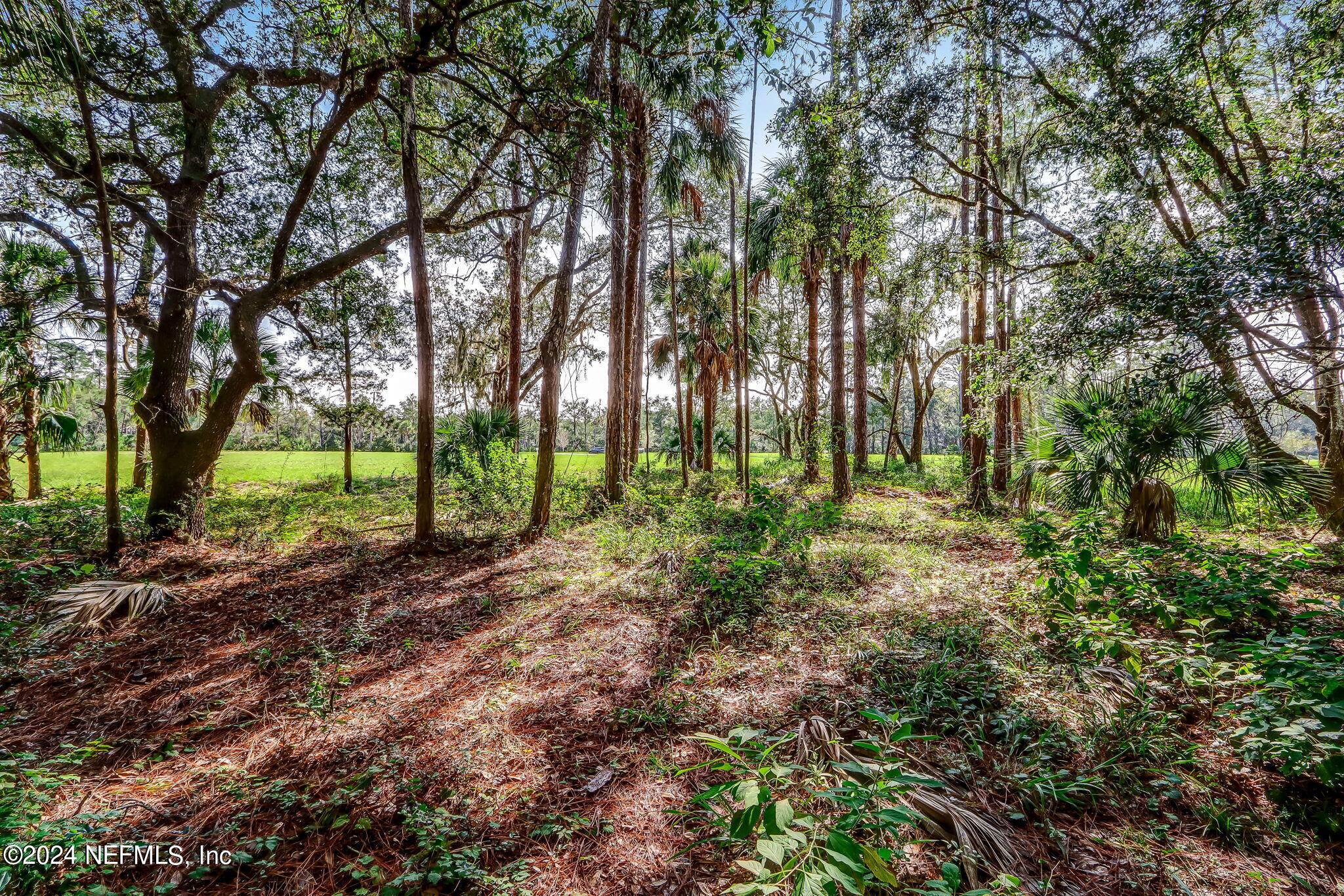 557 Shell Ridge Lane Ponte Vedra, FL 32081 - Photo 10 of 17 a view of outdoor space and trees
