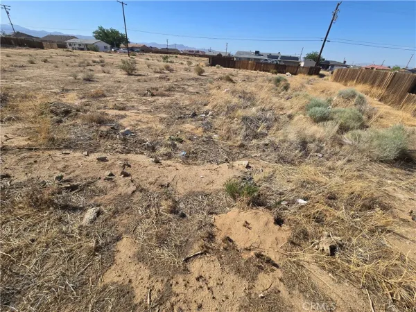 a view of a dry yard