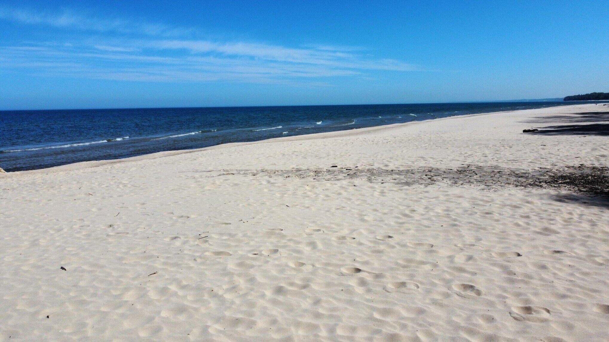 15972 Prusa Road Union Pier, MI 49129 - Photo 27 of 29 027_20240502150657991820000000-o_390