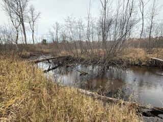 438 East 32nd Street Baldwin, MI 49304 - Photo 1 of 43 IMG_3373