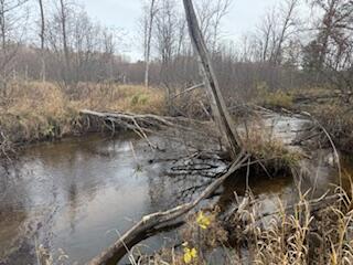 438 East 32nd Street Baldwin, MI 49304 - Photo 11 of 43 IMG_3370