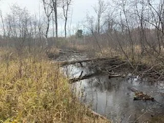 $88,900 | 438 East 32nd Street, Baldwin, MI 49304