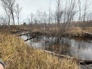 438 East 32nd Street Baldwin, MI 49304 - Photo 13 of 43 IMG_3372