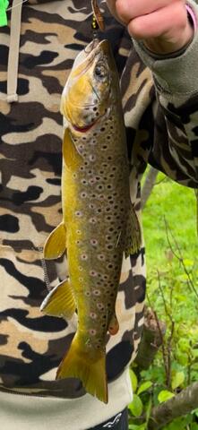 438 East 32nd Street Baldwin, MI 49304 - Photo 14 of 43 IMG_3111