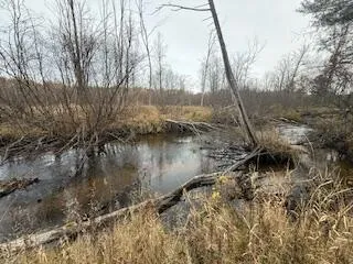 $88,900 | 438 East 32nd Street, Baldwin, MI 49304