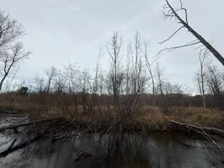 $88,900 | 438 East 32nd Street, Baldwin, MI 49304